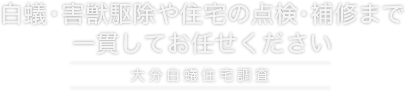 白蟻・害獣駆除や住宅の点検・補修まで一貫してお任せください